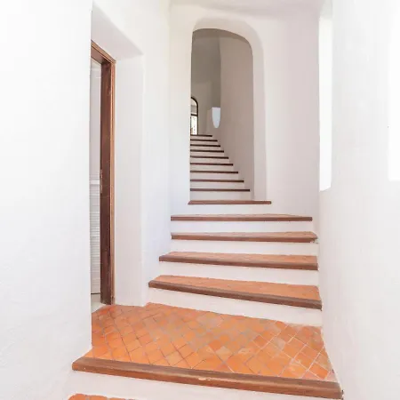 فيلة Hibiscus By Interhome *